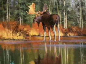 Bull Moose 20" x 24" oil painting by Tom Haas