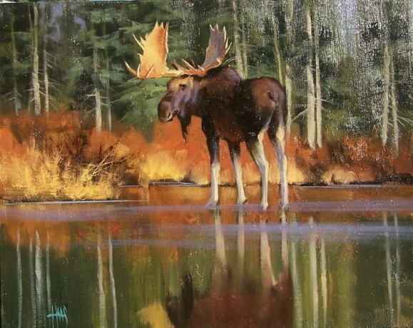 Bull Moose 20" x 24" oil painting by Tom Haas