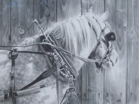 Dottie 24" x 30" graphite drawing by Tom Haas