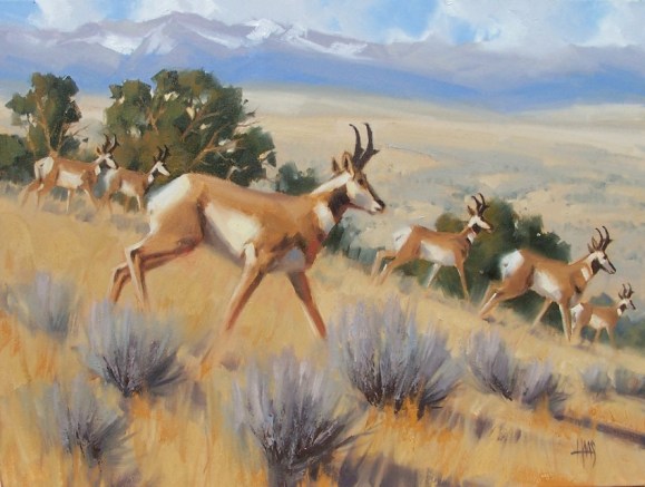 Wildlife oil paintings