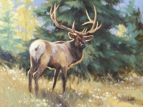 Mountain Monarch 16" x 20" oil painting by Tom Haas