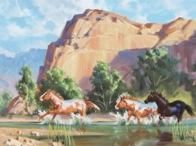 Free Spirit - Canyon de Chelly, Arziona 24" x 36" oil painting by Tom Haas