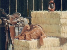 Sam Sleeping 24" x 30" oil painting by Tom Haas
