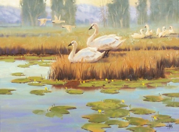 Wildlife oil paintings