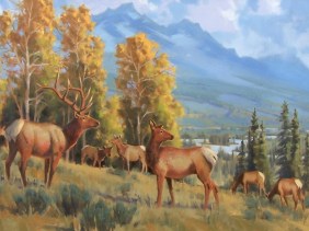 wildlife elk oil painting