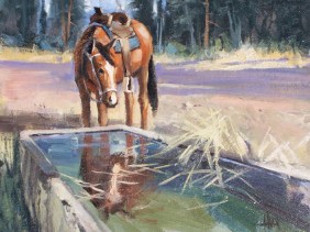 Water Trough - Vera Earl Ranch, Sonoita, Arizona 11" X 14" oil painting by Tom Haas