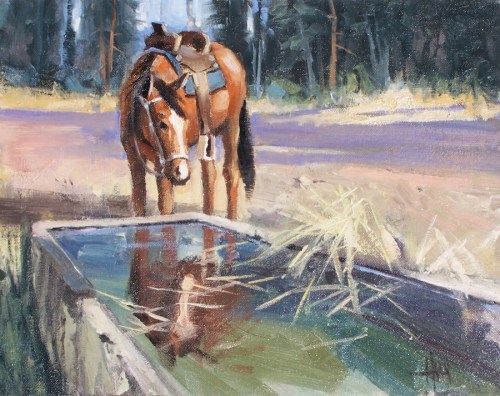 Water Trough - Vera Earl Ranch, Sonoita, Arizona 11" X 14" oil painting by Tom Haas