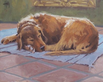 Sam Old Boy 11" x 14" oil painting by Tom Haas