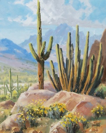 Sonoran Hilltop 20" x 16" oil painting by Tom Haas