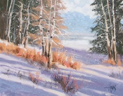 Soft Flakes - Colorado 11" x 14" oil painting by Tom Haas