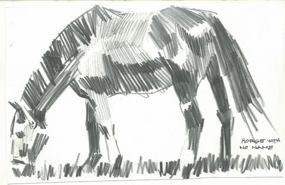Horse With No Name graphite sketch by Tom Haas