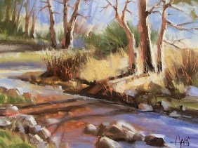 Slow Creek 11" x 14" oil painting by Tom Haas