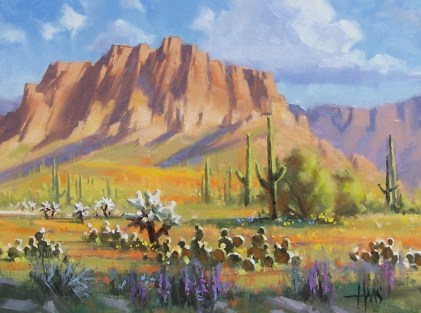 Superstition Poppies - Arizona 12" x 16" by Tom Haas