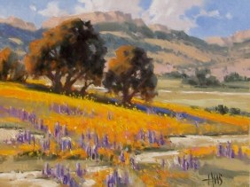 Sonoita Hills - Arizona 11" x 14" oil painting by Tom Haas