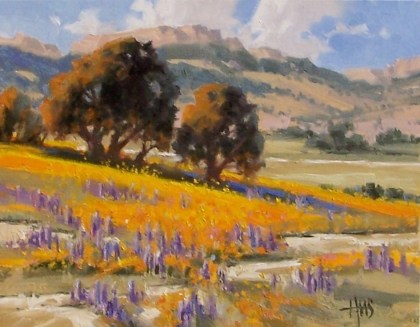 Sonoita Hills - Arizona 11" x 14" oil painting by Tom Haas