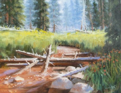 Meadow's Fragrance - Arizona 11" x 14" oil painting by Tom Haas