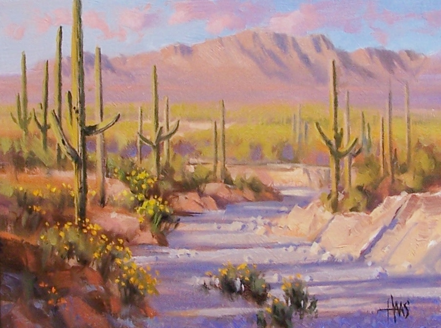 South of Oracle - Arizona 12" x 16" oil painting by Tom Haas