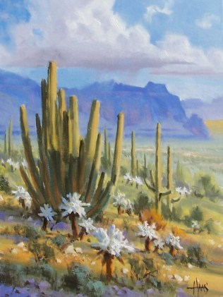 Organ Pipe - Arizona 16" x 12" oil painting by Tom Haas