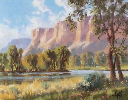 Green River Valley - San Pedro River, Southern Arizona 11" x 14" oil painting by Tom Haas